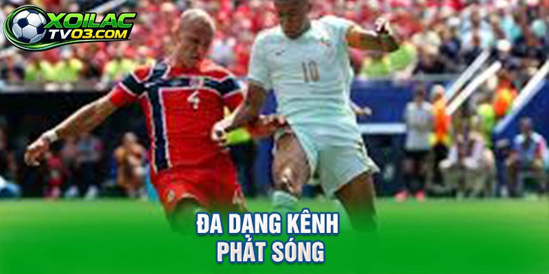 Đa Dạng Kênh Phát Sóng
