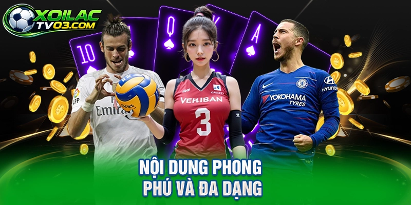 Nội Dung Phong Phú Và Đa Dạng