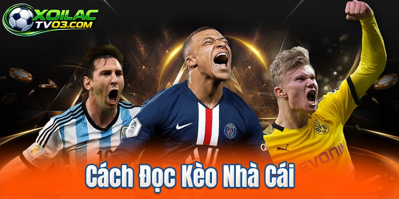 Cách Đọc Kèo Nhà Cái