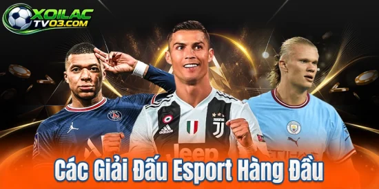 Các Giải Đấu Esport Hàng Đầu