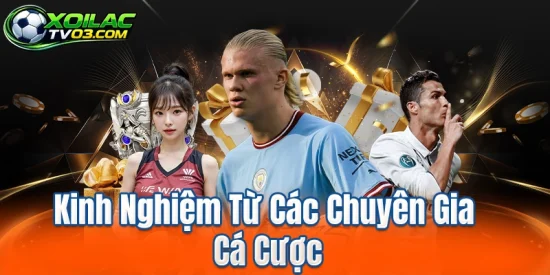 Kinh Nghiệm Từ Các Chuyên Gia Cá Cược