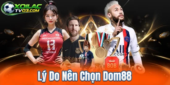 Lý Do Nên Chọn Dom88