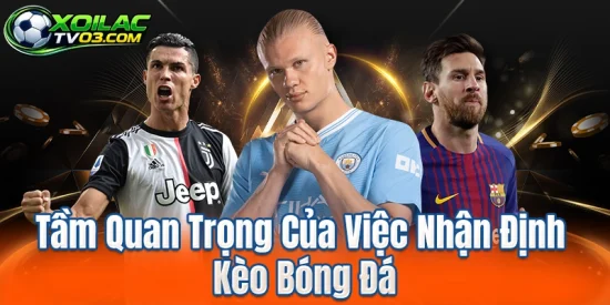 Tầm Quan Trọng Của Việc Nhận Định Kèo Bóng Đá